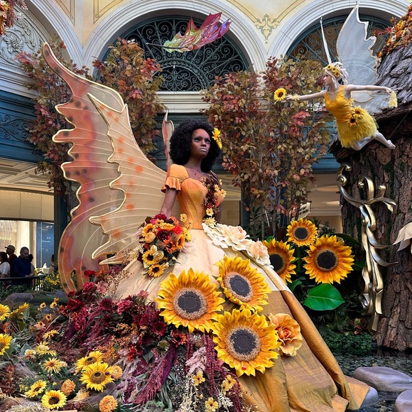 Meet your Posher, Bella - Picture 2 of 3